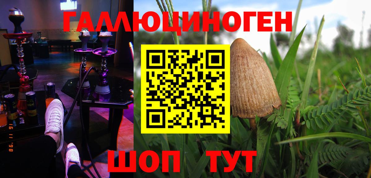 Галлюциногенные грибы GOLDEN TEACHER  Вход с VPN  Краснокаменск 