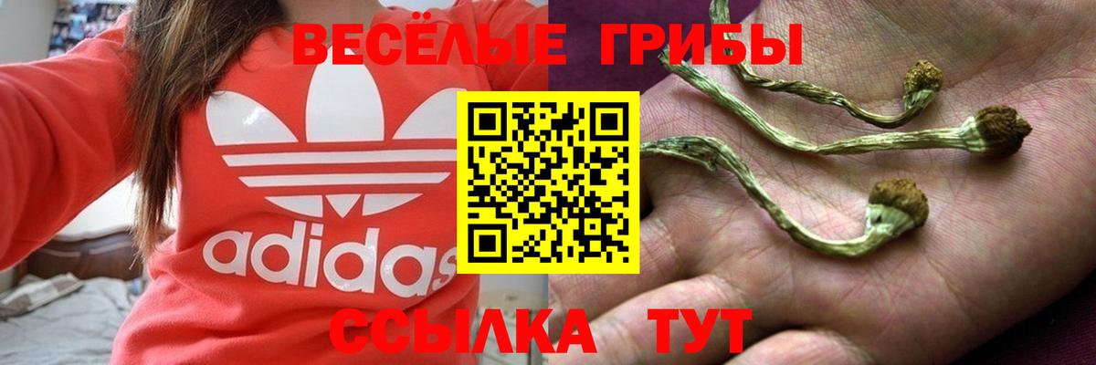 Псилоцибиновые грибы GOLDEN TEACHER Краснокаменск